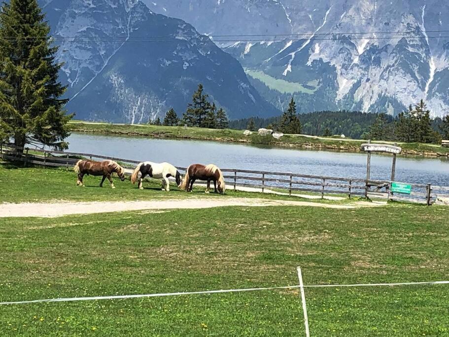 Sonniges Apartment In Seefeld 제펠드 인 티롤 외부 사진