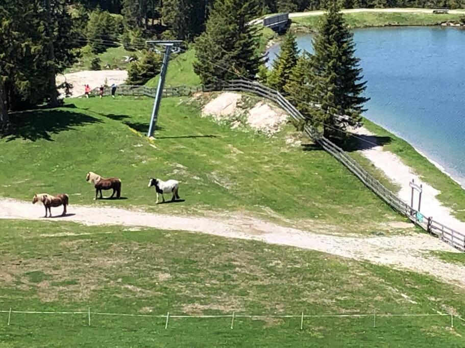Sonniges Apartment In Seefeld 제펠드 인 티롤 외부 사진